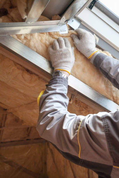 Best Wall Insulation Installation  in South Jacksonvle, IL